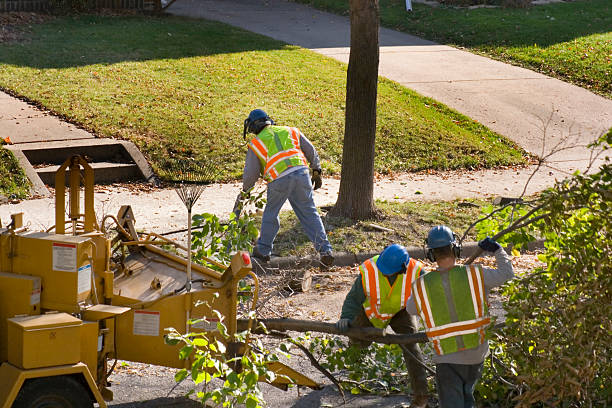 Best Lawn Drainage Solutions  in Blackshear, GA